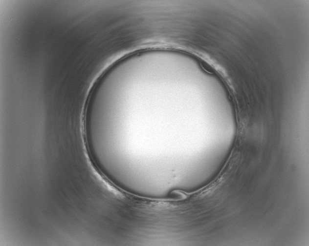 X0000073871239200608312044