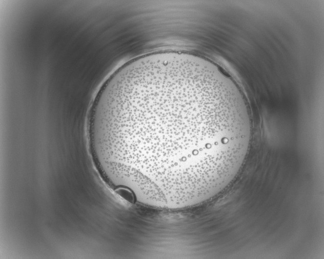 X0000073871243200608312044