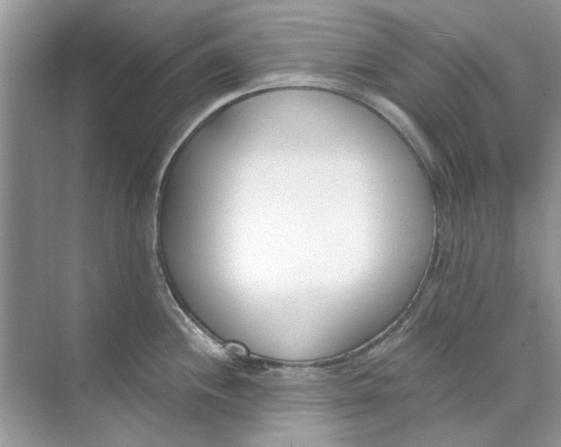 X0000073871244200608312044