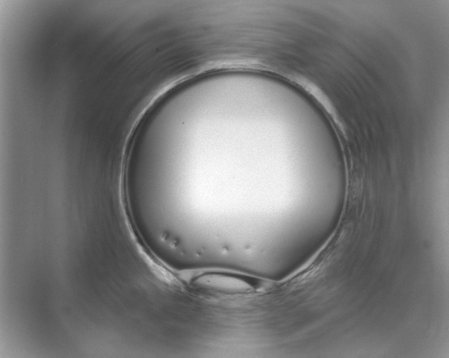 X0000073871245200608312044