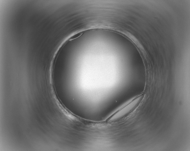 X0000073871246200608312044