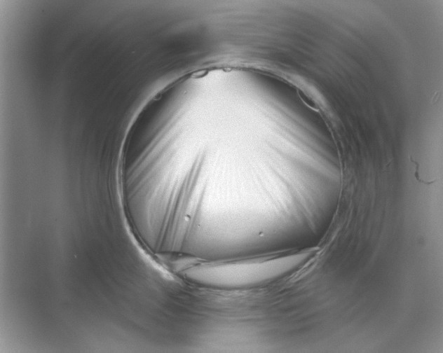 X0000073871247200608312044