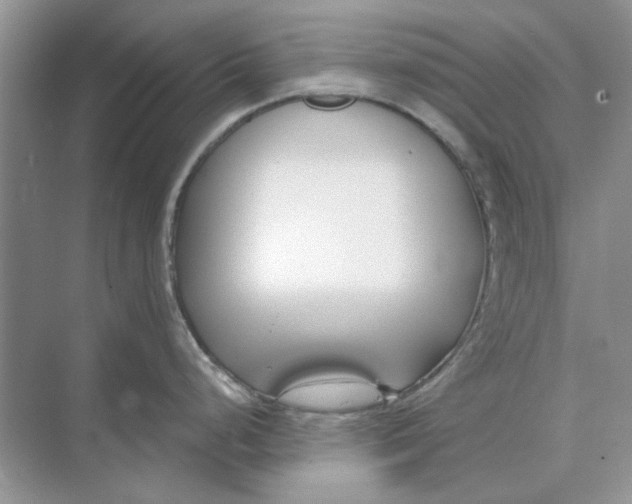 X0000073871248200608312044