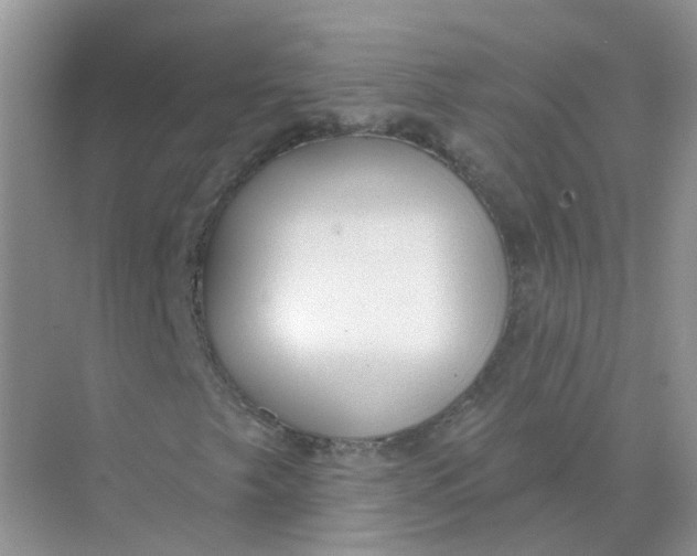 X0000073871249200608312043