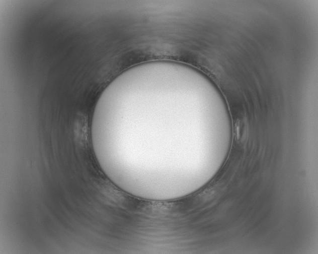 X0000073871251200608312043