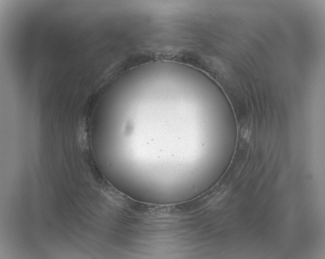 X0000073871252200608312043