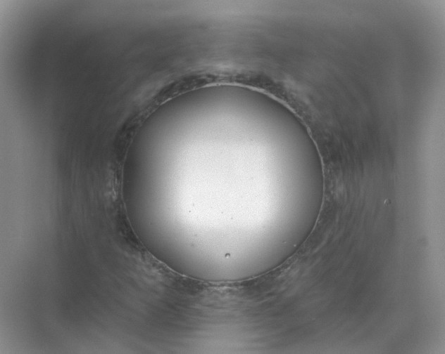 X0000073871253200608312043