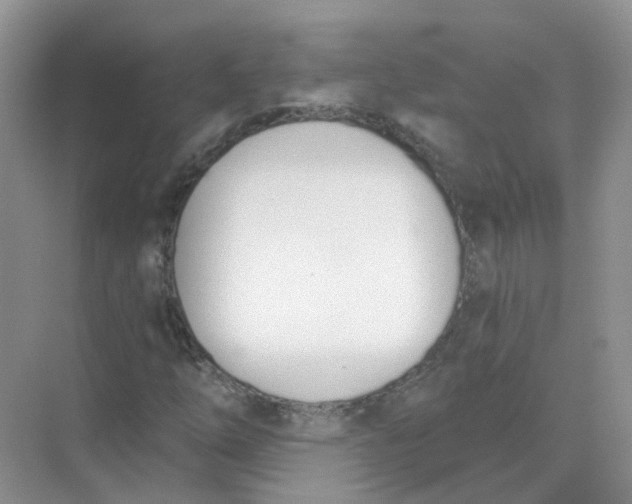 X0000073871254200608312043