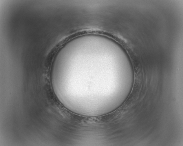 X0000073871255200608312043