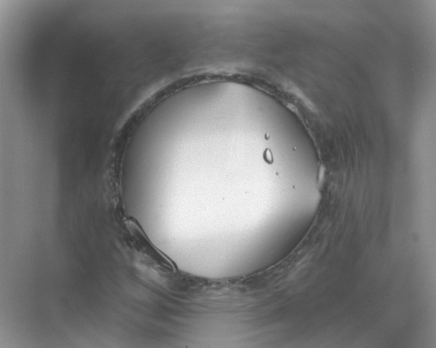 X0000073871256200608312043