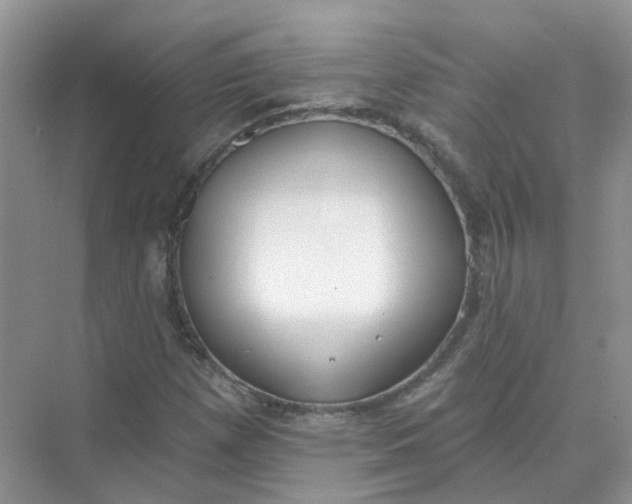 X0000073871257200608312043