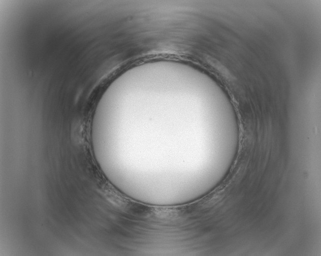 X0000073871258200608312043