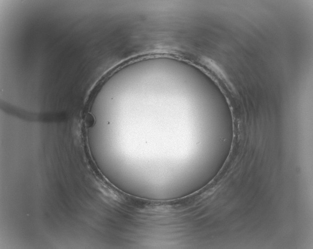 X0000073871260200608312043