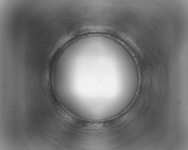 X0000073871261200608312043