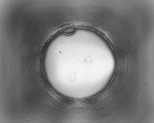 X0000073871263200608312043