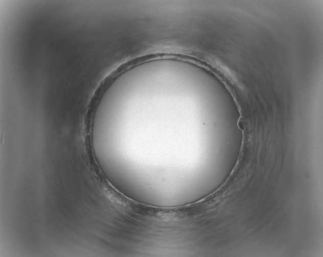 X0000073871264200608312043