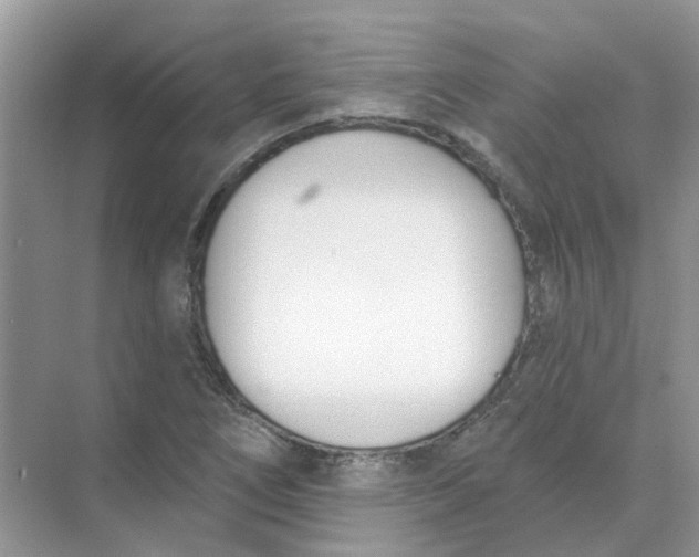 X0000073871266200608312043