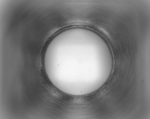 X0000073871267200608312043