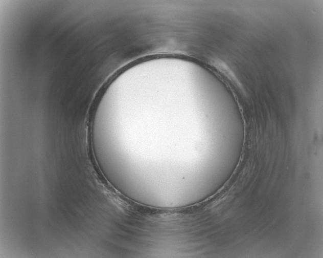 X0000073871268200608312043