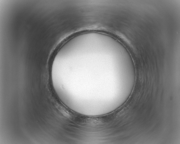 X0000073871270200608312043