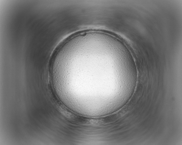 X0000073871271200608312043