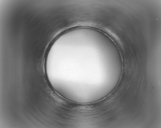 X0000073871272200608312043