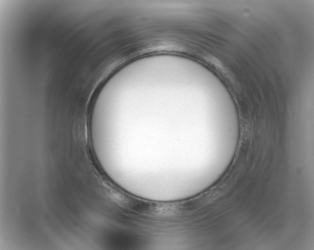 X0000073871274200608312043