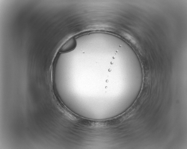 X0000073871275200608312043