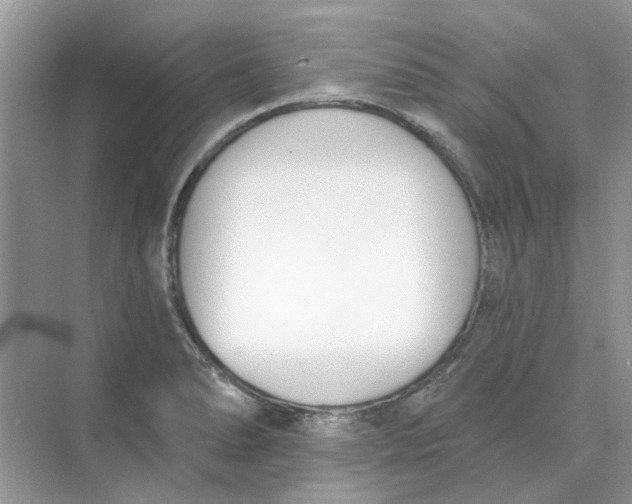 X0000073871278200608312043