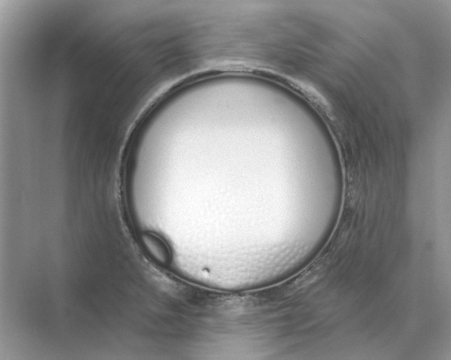 X0000073871279200608312043