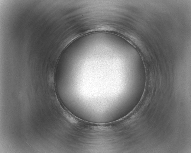 X0000073871281200608312043