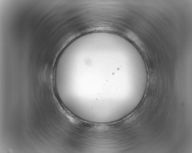 X0000073871282200608312043