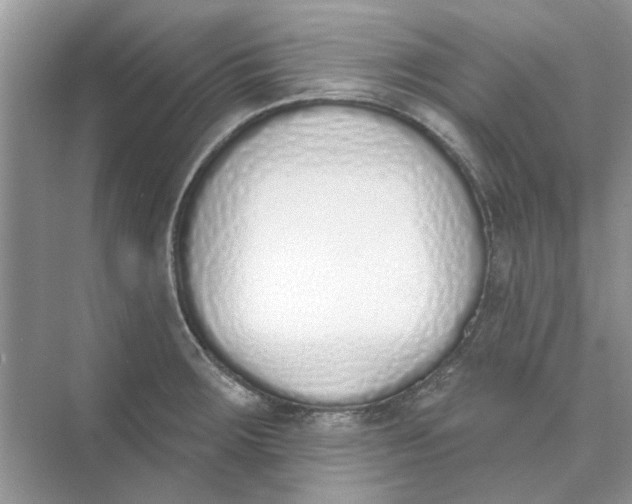 X0000073871283200608312043