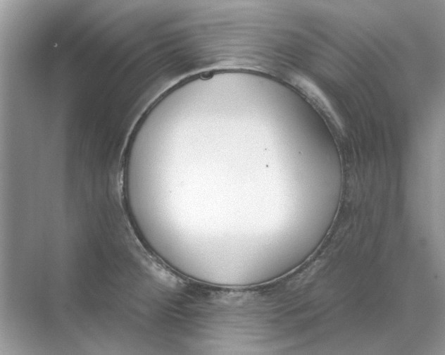 X0000073871284200608312043