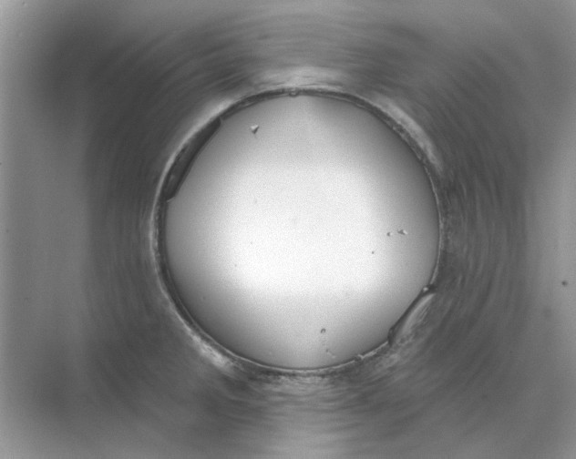 X0000073871285200608312043