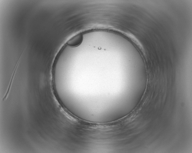 X0000073871287200608312043