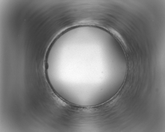 X0000073871288200608312043