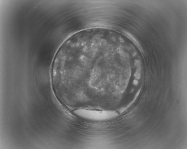 X0000073871291200608312043