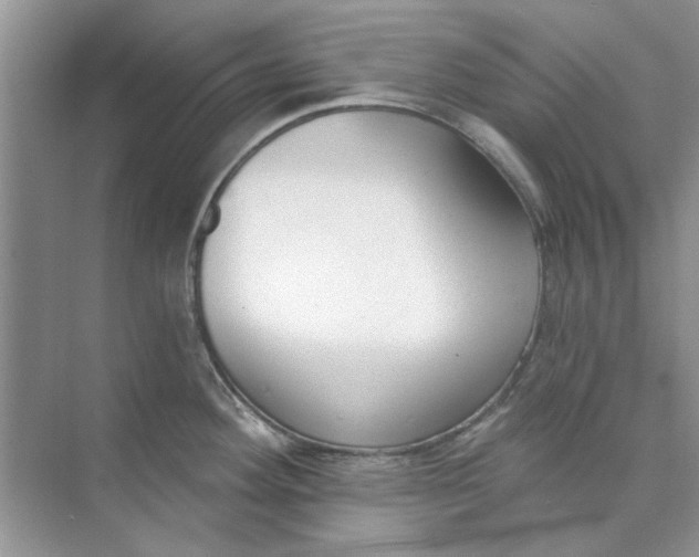 X0000073871292200608312043