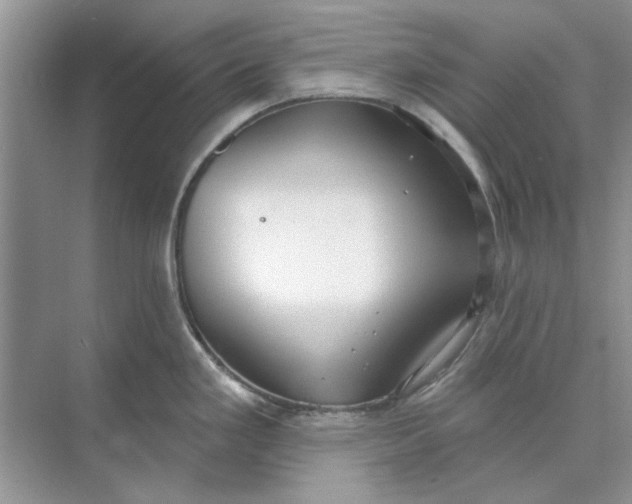 X0000073871293200608312043