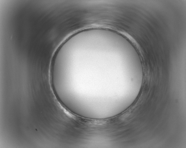 X0000073871294200608312043