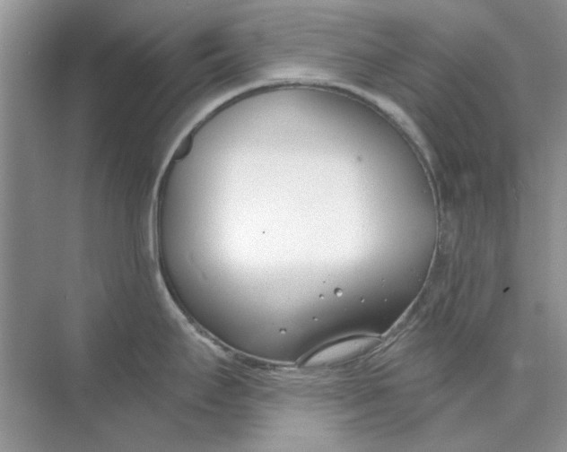 X0000073871295200608312043