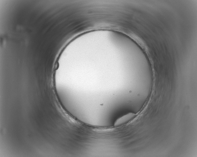 X0000073871296200608312043