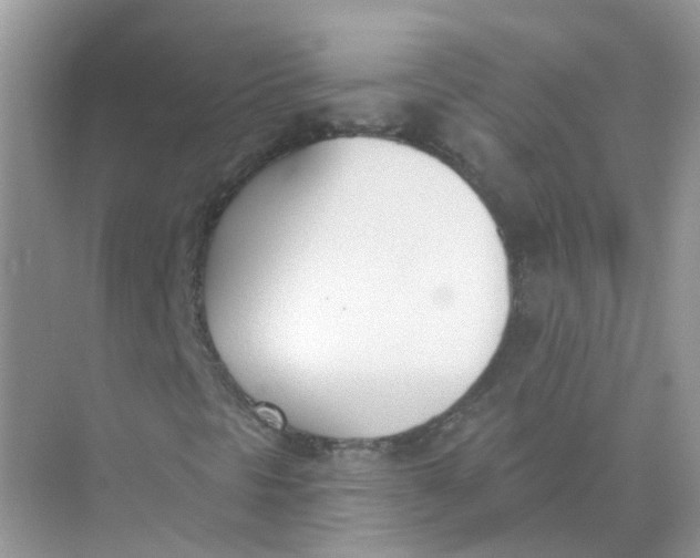 X0000073871297200608312042