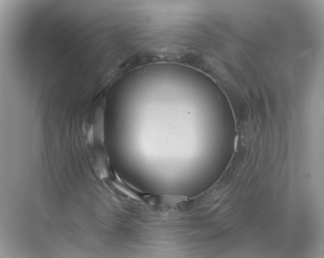 X0000073871298200608312042