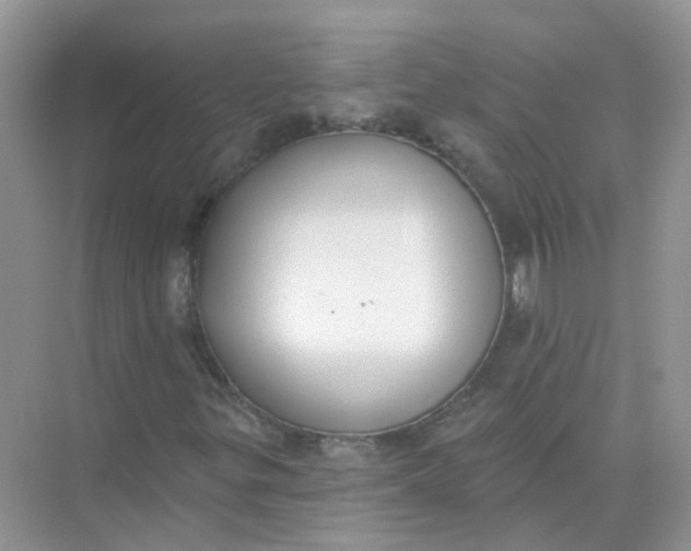 X0000073871299200608312042