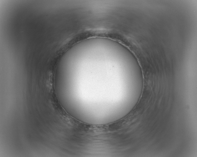 X0000073871301200608312042