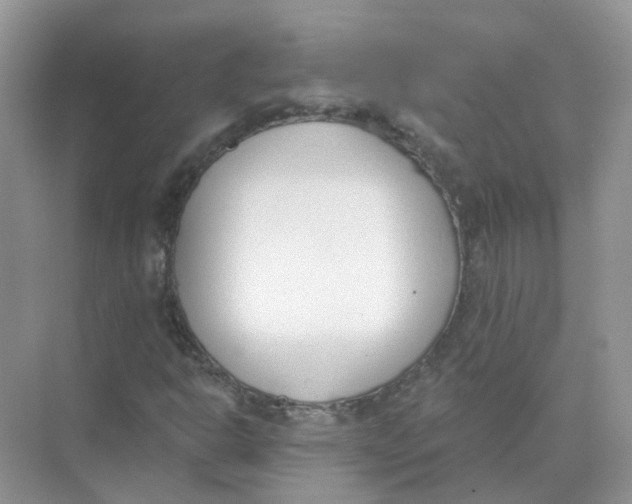 X0000073871302200608312042