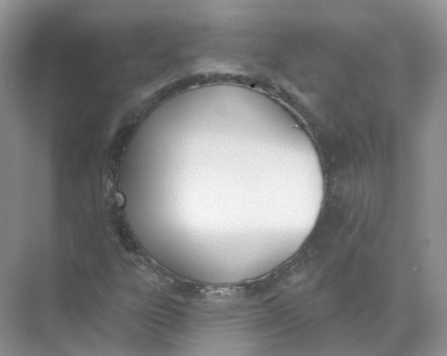 X0000073871303200608312042