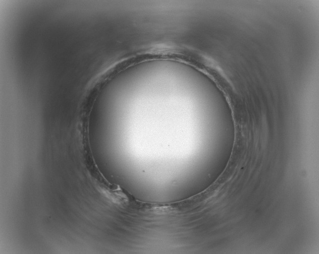 X0000073871304200608312042